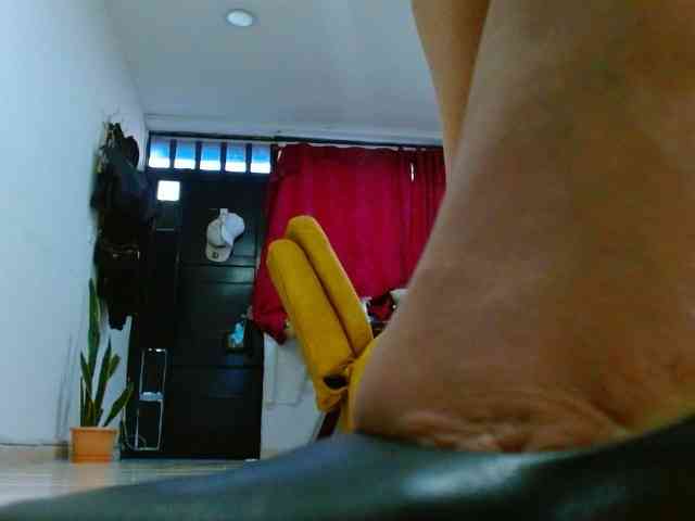 IXCHEL9153 webcam