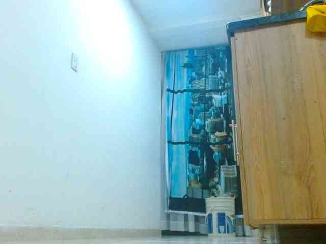 IXCHEL9153