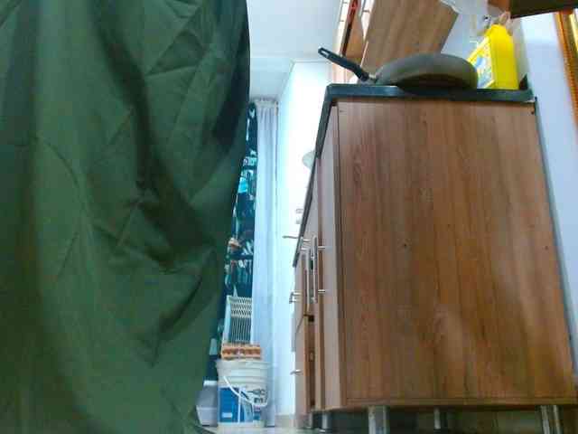 IXCHEL9153 webcam