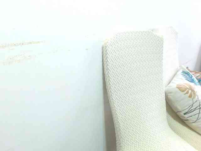 IXCHEL9153 webcam