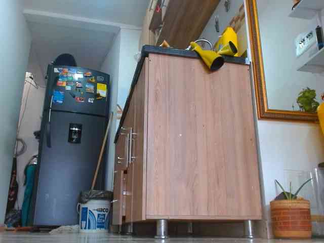 IXCHEL9153 webcam