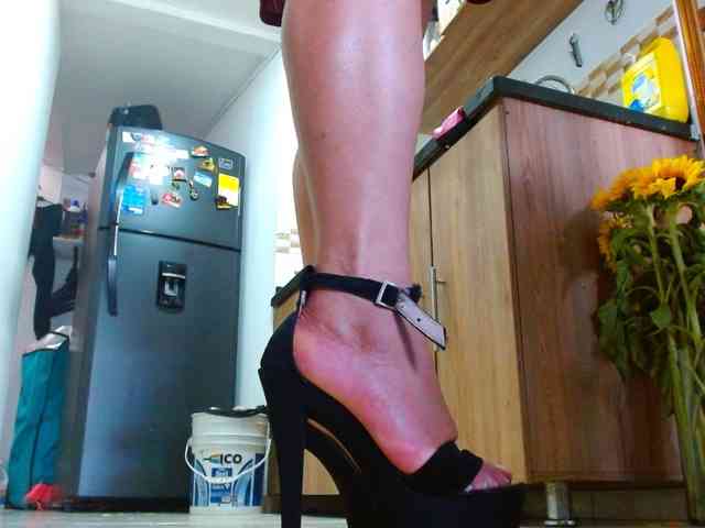 IXCHEL9153 webcam