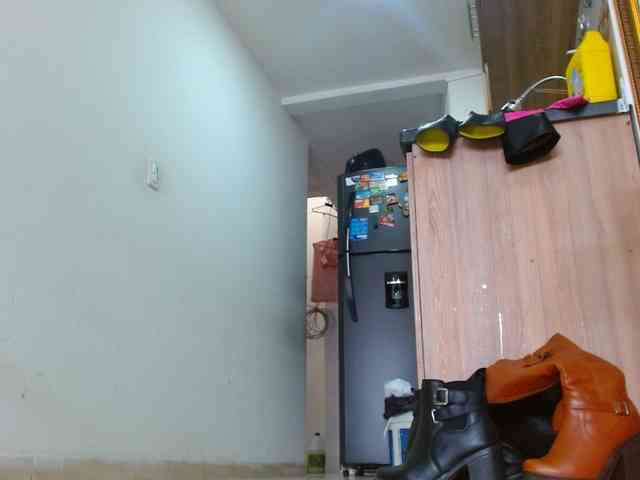 IXCHEL9153