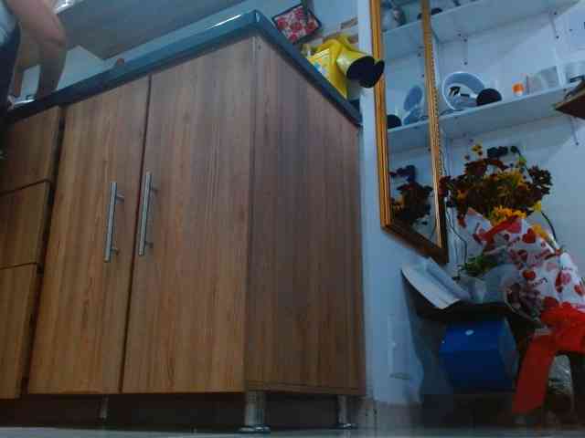 IXCHEL9153 webcam