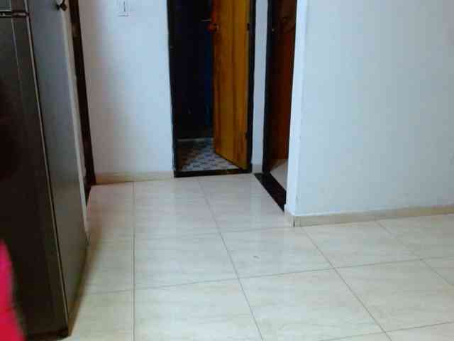 IXCHEL9153