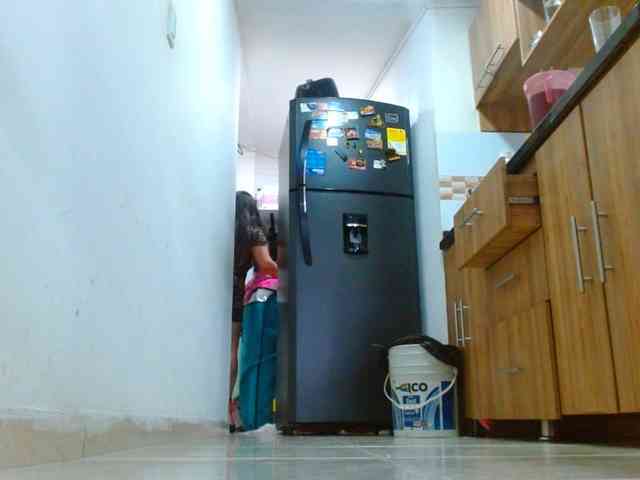 IXCHEL9153
