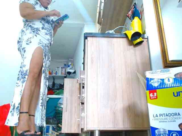 IXCHEL9153 webcam