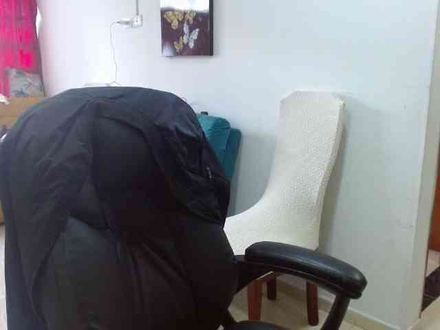 IXCHEL9153 webcam