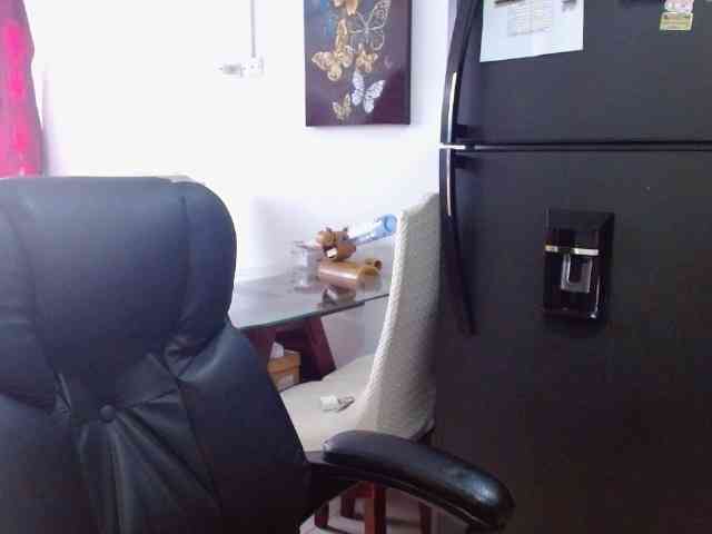 IXCHEL9153 webcam