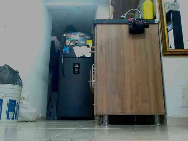 IXCHEL9153