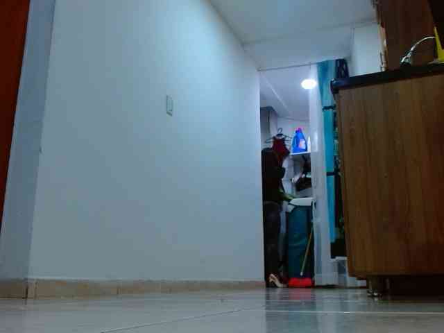IXCHEL9153 webcam