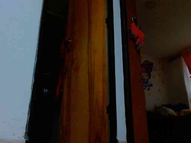 IXCHEL9153 webcam
