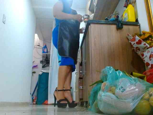IXCHEL9153 webcam