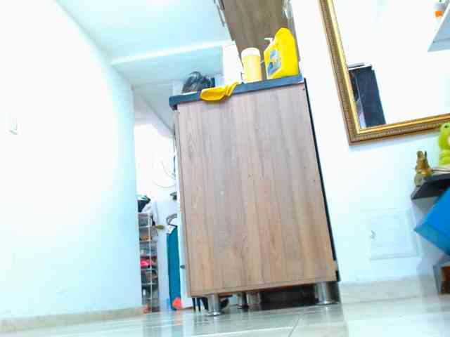 IXCHEL9153 webcam