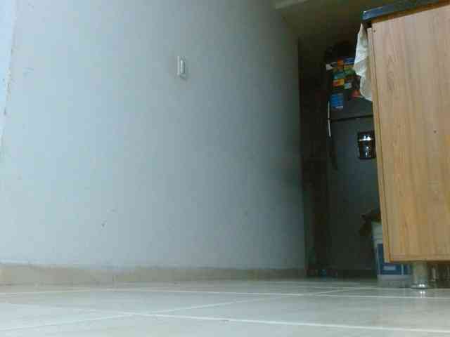 IXCHEL9153 webcam
