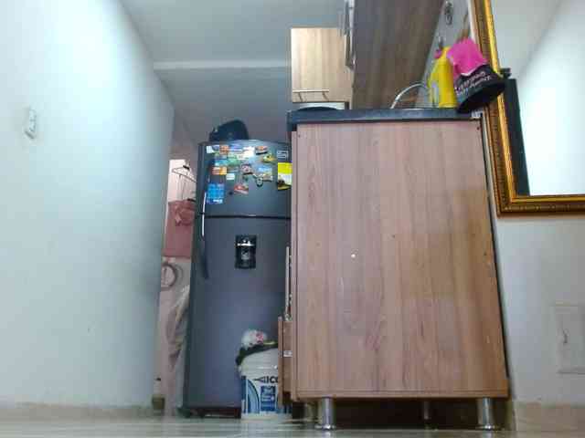 IXCHEL9153 webcam