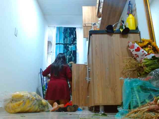 IXCHEL9153 webcam