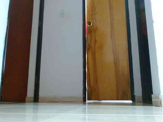 IXCHEL9153 webcam