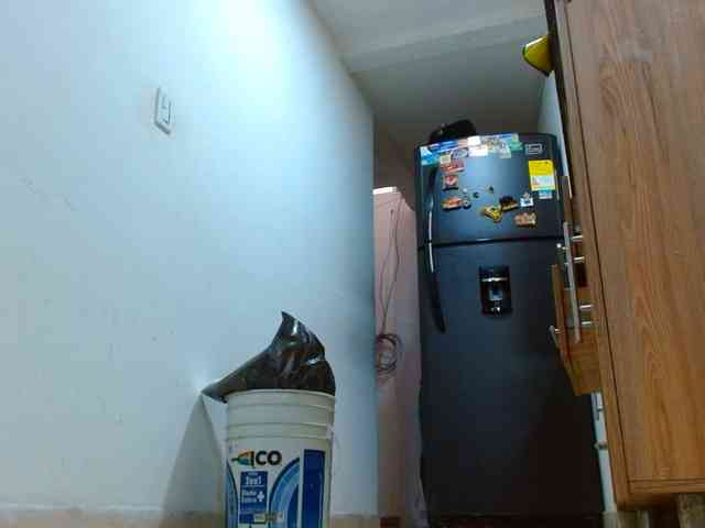 IXCHEL9153 webcam