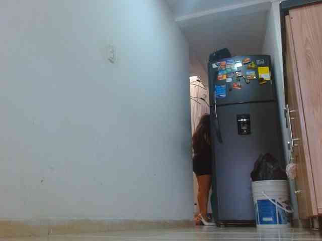 IXCHEL9153 webcam