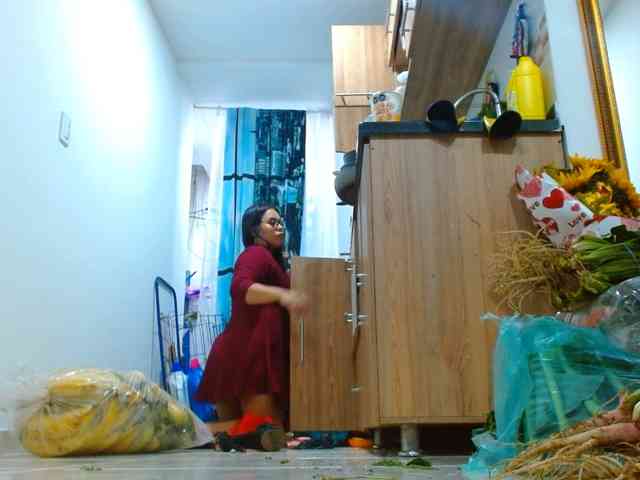 IXCHEL9153 webcam