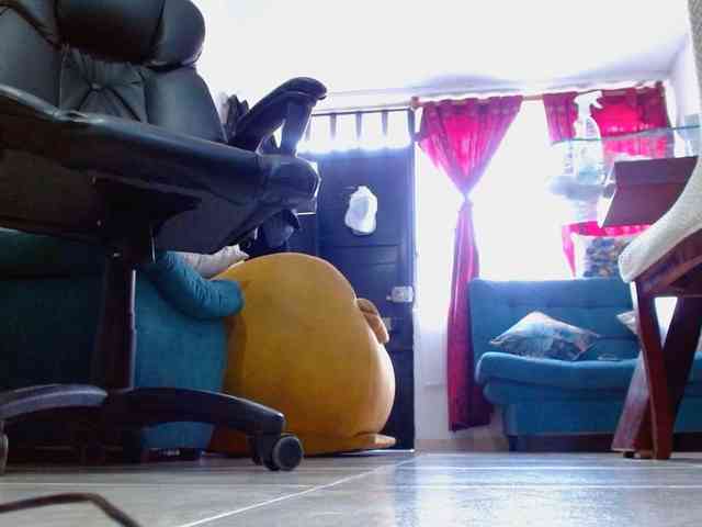 IXCHEL9153 webcam