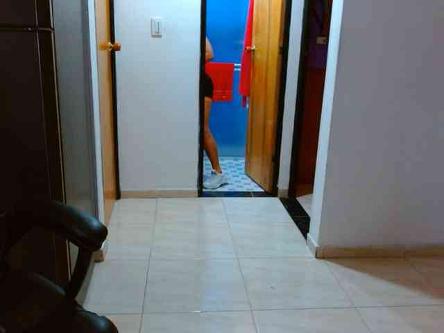 IXCHEL9153 webcam