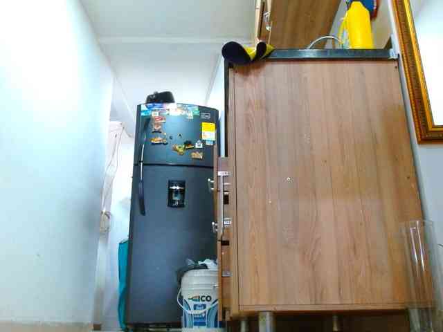IXCHEL9153 webcam