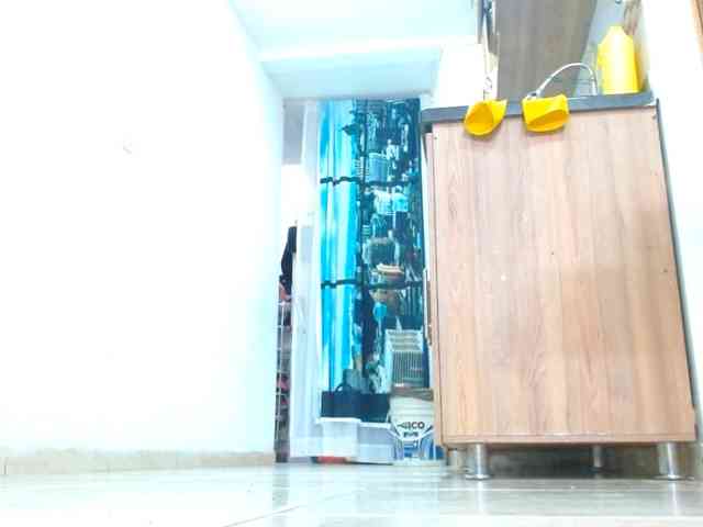 IXCHEL9153