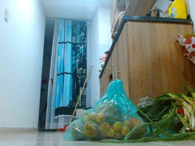 IXCHEL9153 webcam