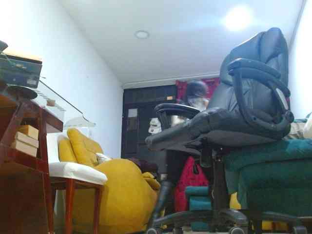 IXCHEL9153 webcam