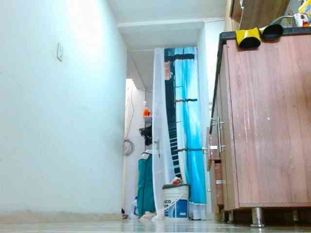 IXCHEL9153