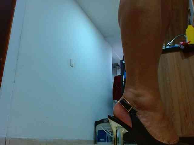 IXCHEL9153 webcam