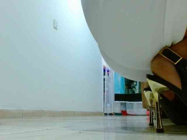 IXCHEL9153 webcam