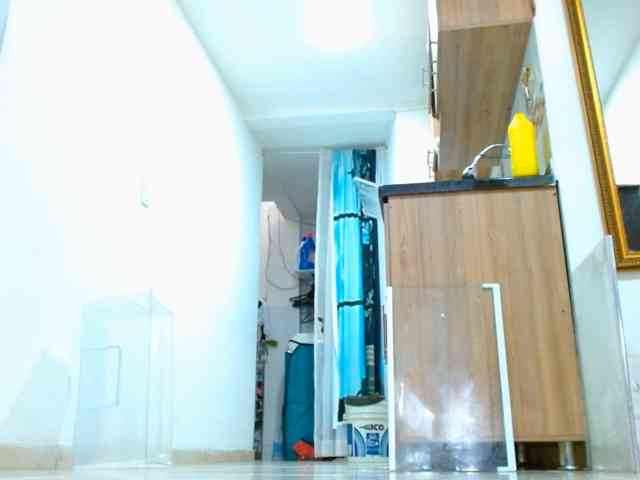 IXCHEL9153 webcam