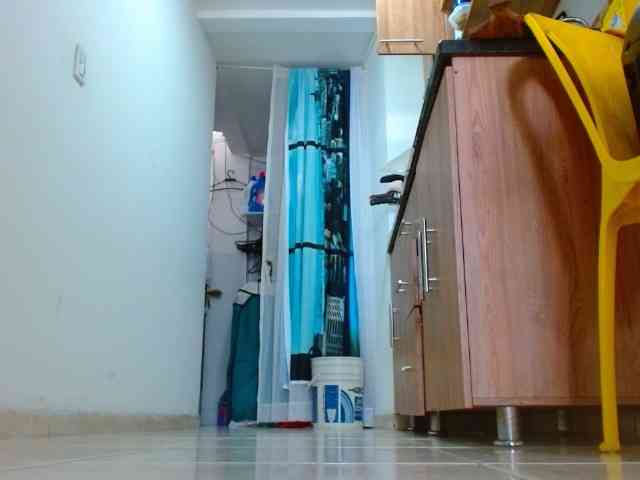 IXCHEL9153