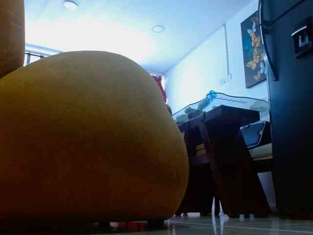 IXCHEL9153 webcam