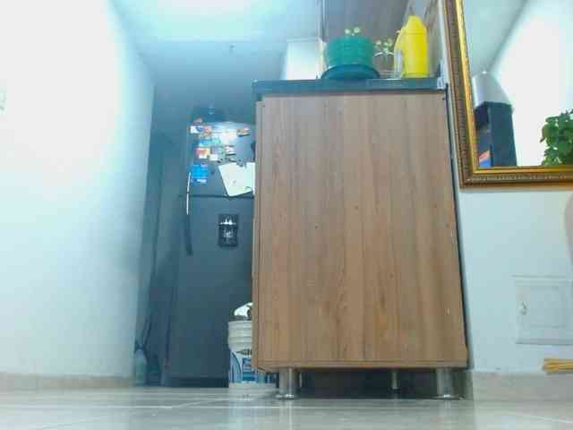 IXCHEL9153