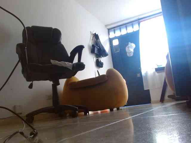 IXCHEL9153 webcam