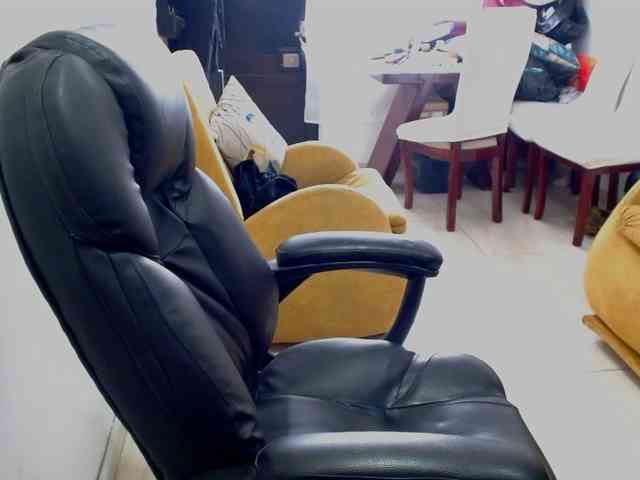 IXCHEL9153 webcam