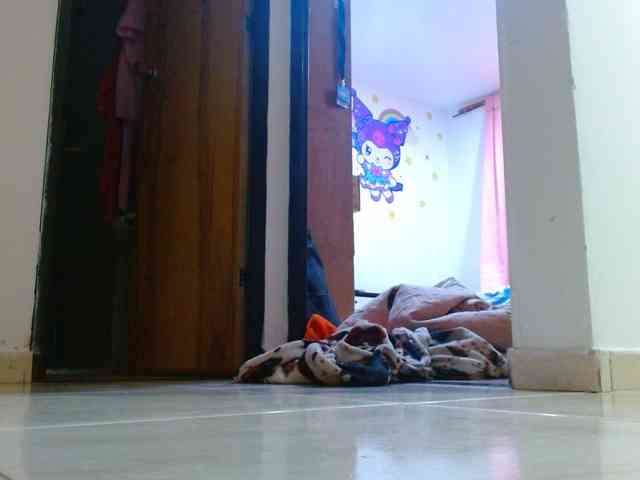 IXCHEL9153 webcam