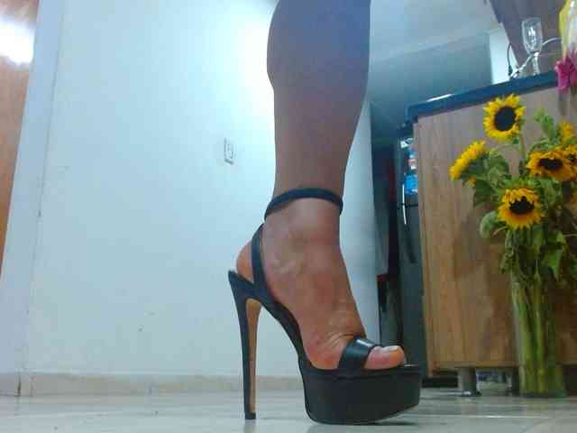 IXCHEL9153 webcam
