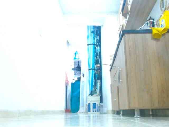 IXCHEL9153