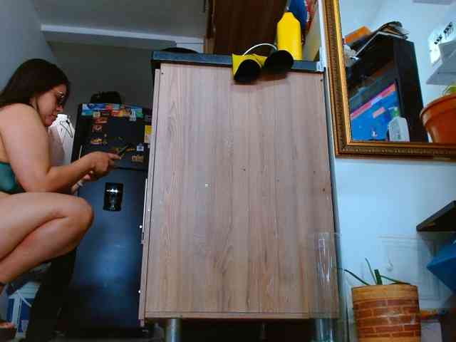 IXCHEL9153 webcam