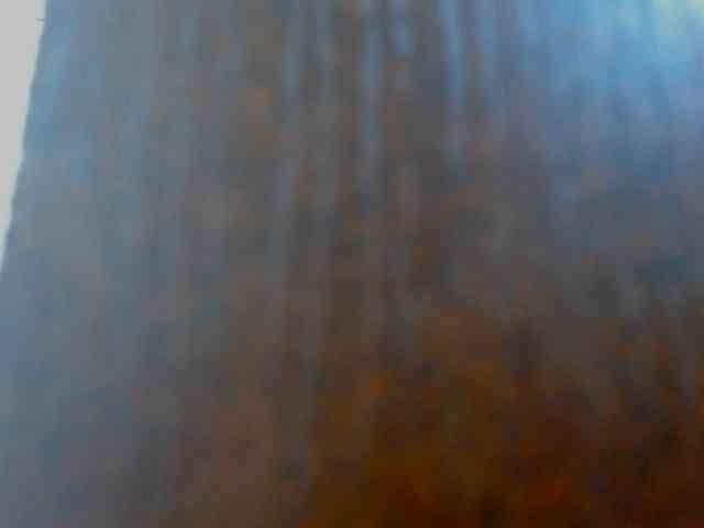 IXCHEL9153 webcam