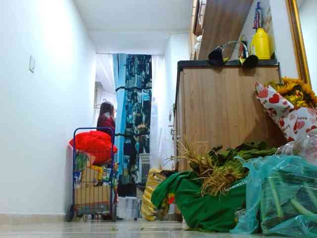 IXCHEL9153 webcam