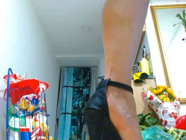 IXCHEL9153 webcam
