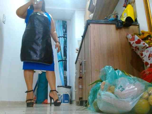 IXCHEL9153 webcam
