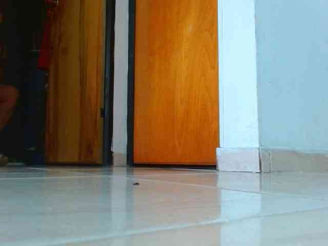 IXCHEL9153 webcam