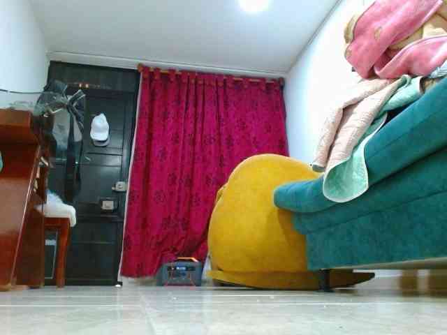 IXCHEL9153 webcam
